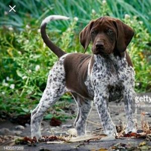 Meet your Posher, Marriah